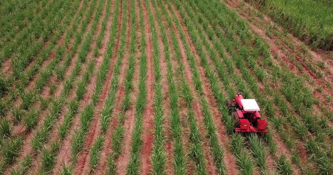 Agricultural tractor putting fertilizer in sugar cane plantation. Aerial view.