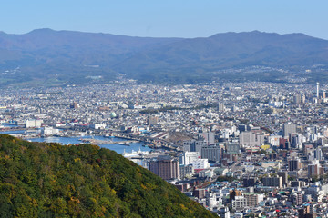 Fototapeta na wymiar 函館山と市街地