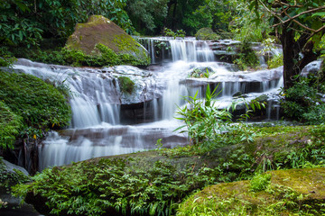 waterfall in forest