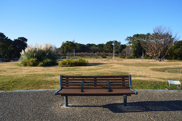 冬の旭を浴びる公園のベンチ