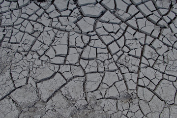 Grietas en lago seco