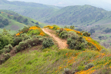 Hiking trail in the hills of Chino Hills State Park in Southern California
