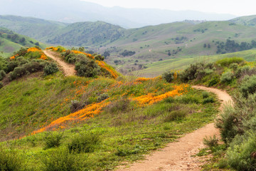 Naklejka na ściany i meble Hiking trail in the hills of Chino Hills State Park in Southern California