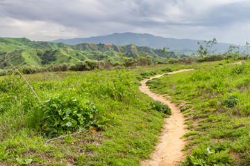 Hiking path in Chino Hills State Park during spring