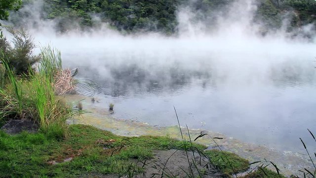 Hot steam flying on Frying pan lake at Waimangu Volcanic Valley, Rotorua at north island of New Zealand 