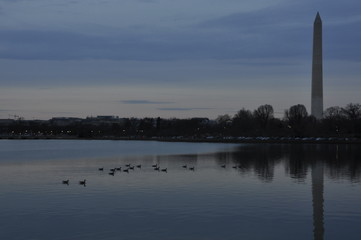 View of Washington monument and ducks on a lake