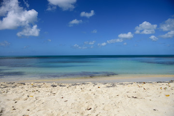 Fototapeta na wymiar Tropical sandy beach, blue Caribbean sea, sky and clouds