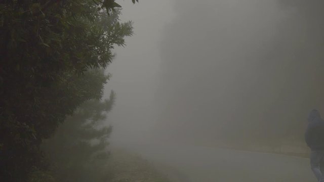 Man disappears into the fog