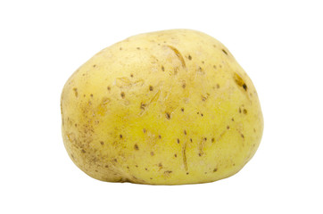 Potato tuber close up isolated on a white background. Vegetables, natural product.