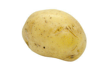 Potato tuber close up isolated on a white background. Fresh vegetables, food for vegans.