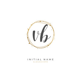 Handwritten initial letter  V B VB for identity and logo. Vector logo template with handwriting and signature style.