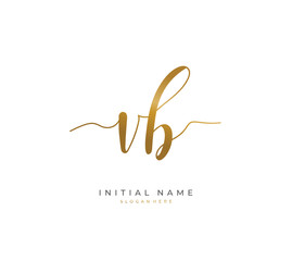 Handwritten initial letter  V B VB for identity and logo. Vector logo template with handwriting and signature style.