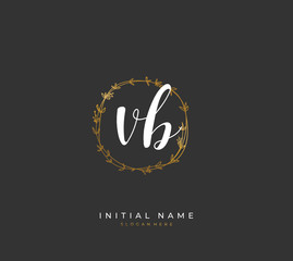 Handwritten initial letter  V B VB for identity and logo. Vector logo template with handwriting and signature style.