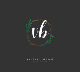 Handwritten initial letter  V B VB for identity and logo. Vector logo template with handwriting and signature style.