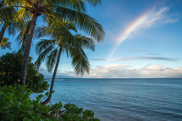 Fototapeta na wymiar Pacific Island Seascape