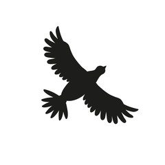 Bird silhouette flying isolated on white. Pigeon or dove drawing.