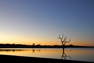 Plakat Sunset with trees on lake