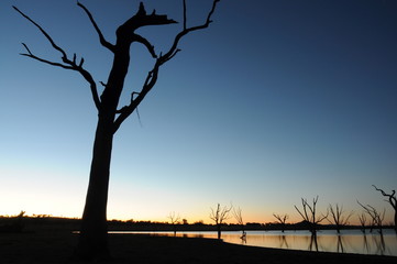 Sunset with trees on lake