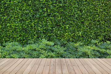 Wood flooring in a green plant garden decorative