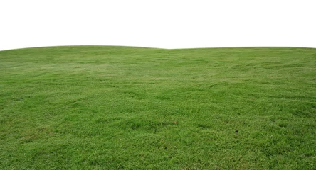 Foto op Plexiglas vers groen grasgazon dat op witte achtergrond wordt geïsoleerd © saranyoo