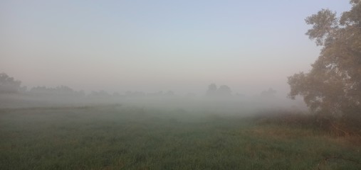 Obraz na płótnie Canvas Morning mist in the meadow