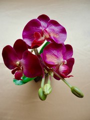Purple orchid, plastic artificial flower