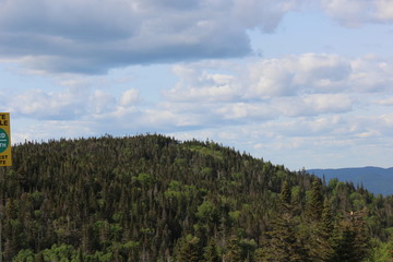 landscape with trees and clouds
