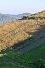 Summer mountain view in Thailand,High view beautiful nature landscape of the mountain sky and forest in the morning on the hilltop viewpoint at Phu Thap Berk attractions of Phetchabun Province Thailan