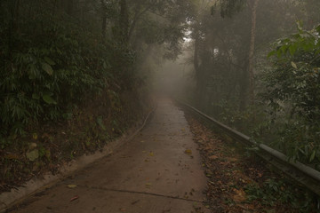 Fototapeta premium Way in the wild go to top of mountain.