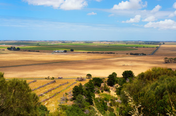 Fototapeta na wymiar Rural landscape. View from Mount Schank.