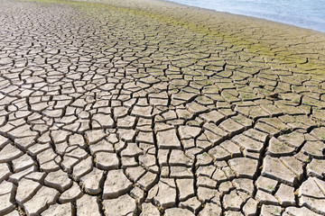 dry cracked lake bed
