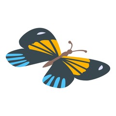 Tropical butterfly icon. Isometric of tropical butterfly vector icon for web design isolated on white background
