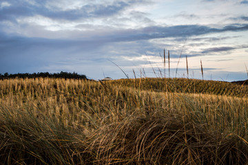 Fototapeta premium Sonnenaufgangsstimmung auf Langeoog im Dezember
