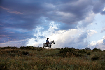 Obraz na płótnie Canvas ranch silhouette 