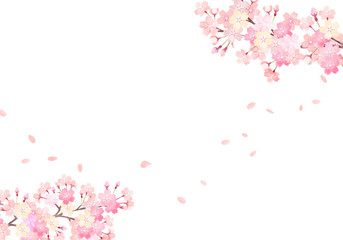水彩 手描き風 桜 背景イラスト 02 April Wall Mural Apr Fuwari