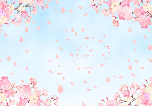 Fuwari Photos Images Assets Adobe Stock Fuwari Photos Images Assets Adobe Stock