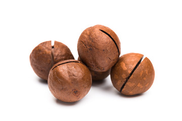 Shelled  macadamia nuts on white background