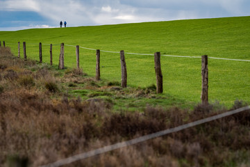 Fototapeta premium Deichsparziergang am Morgen