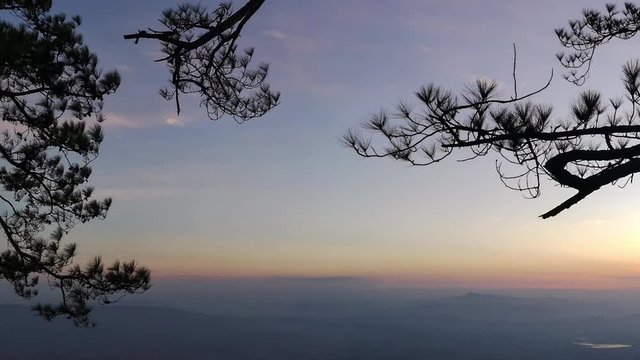 Pine trees  and  blur mountain view with sunshine. Location at Nok Aen Cliff , Phu  Kradueng National Park , Thailand.
