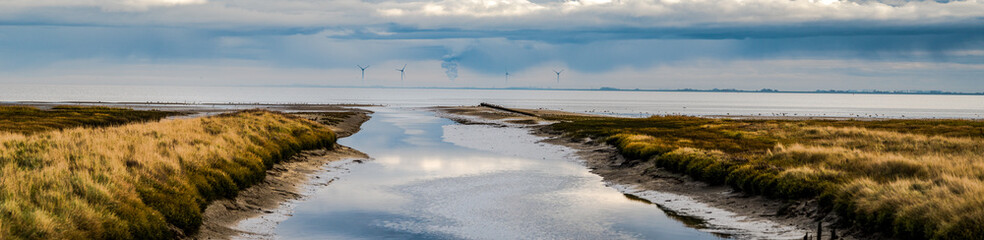 Deichsparziergang am Morgen