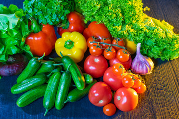 Fresh vegetables. Concept - Self-grown vegetables. Products from your garden. Own farm. Vegetables collected his own hands. Concept - to be a farmer. Tomatoes, cucumbers, paprika, cherry, garlic