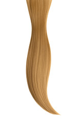 Brown hair isolated on white background. Long ponytail