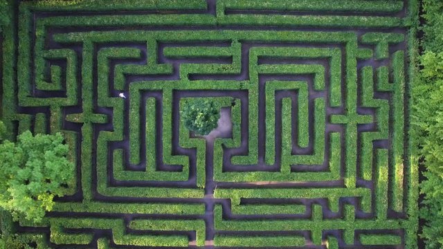 Aerial view of green maze