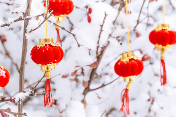 Red lanterns in the snow