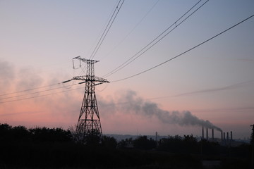 silhouette electricity line with pylon and plant at sunset