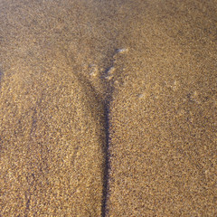 The beauty of very clean Atlantic ocean water in Gran Canaria island. Clear water. Clean yellow sand. Concepts of vacations and touristic mood.