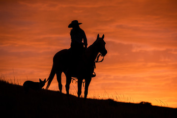 Cowgirl Silhouette 