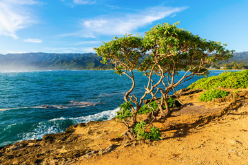 view at Laie Point on Oahu, Hawaii