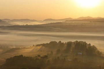 Morning mist covered by trees at Khao Takhian Ngo Phetchabun in Thailand