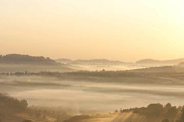 Morning mist covered by trees at Khao Takhian Ngo Phetchabun in Thailand